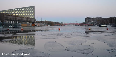 Spoorwegbasssin in de winter